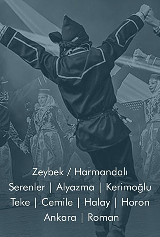 14 dik halk dansları